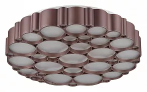 Накладной светильник Vele Luce Bible VL7156L01