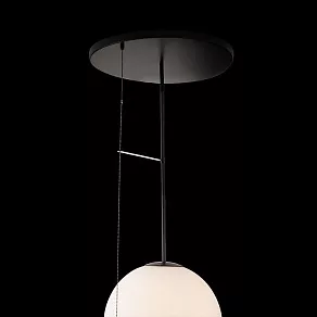 Светильник на штанге Loft it Signal 10029PM Black