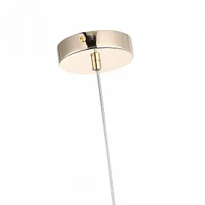 Подвесной светильник ST-Luce Elegra SL1402.253.01