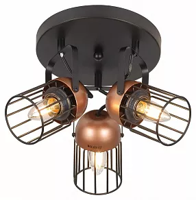 Спот Rivoli Anemon Б0047366