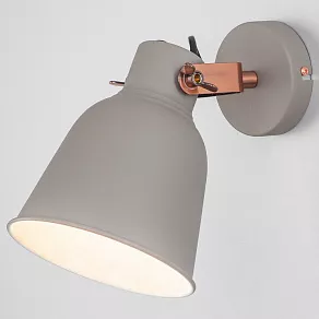 Спот Eurosvet Projector 70079/1 серый