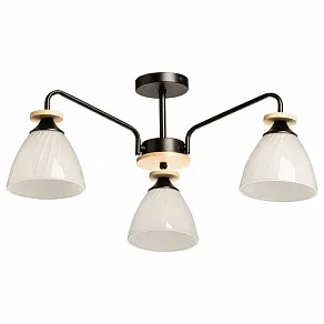 Люстра на штанге De City Дэла 15 635018003