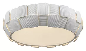 Накладной светильник Divinare Beata 1317/01 PL-6