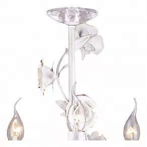 Подвесная люстра Arte Lamp Estimate A2036LM-5WG