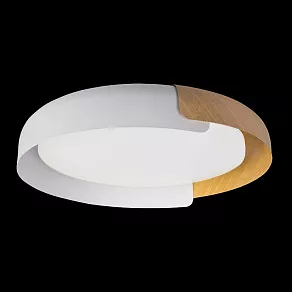 Накладной светильник Loft it Coin 10198 White