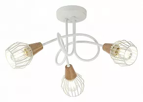 Потолочная люстра Rivoli Naturale S3 WT Б0038093