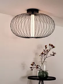 Накладной светильник Lucide Carbony 20114/50/30