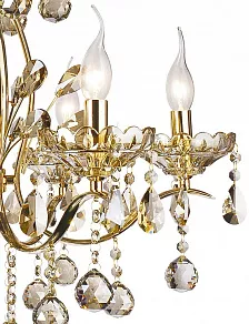 Подвесная люстра Arte Lamp Renaissance A8259LM-6GO