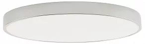 Накладной светильник Zortes Tortty ZRS.02565.96