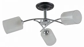 Люстра на штанге Apeyron Electrics  16-41