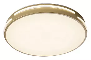 Накладной светильник Zortes Gabby ZRS.90610.40