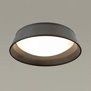 Накладной светильник Odeon Light Sapia 4158/3C