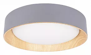 Накладной светильник Loft it Coin 10202 Grey