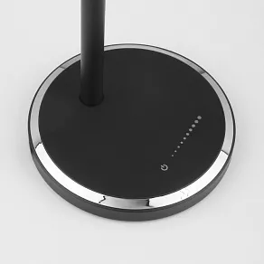 Настольная лампа офисная Elektrostandard Vara a044010