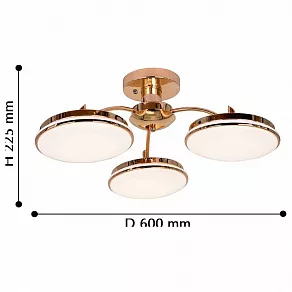 Потолочная люстра F-promo Ledante 2473-3P