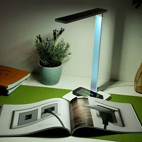 Настольная лампа офисная Elektrostandard Lori a039564