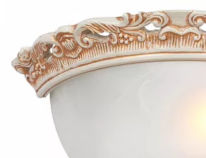Накладной светильник Favourite Plafond 1444-1W
