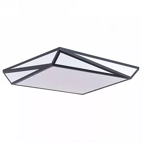 Накладной светильник Arte Lamp Multi-Piazza A1930PL-1BK