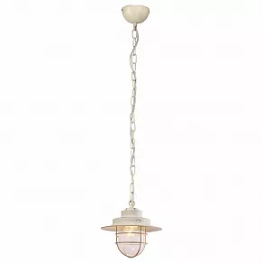 Подвесной светильник Arte Lamp 4579 A4579SP-1WG
