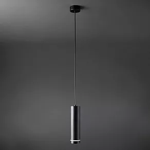 Подвесной светильник Elektrostandard Topper DLR023 12W 4200K