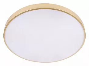Накладной светильник Loft it Flims 10228/B