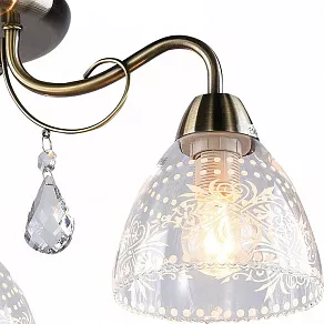 Потолочная люстра Arte Lamp  A1658PL-3AB