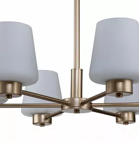 Подвесная люстра Indigo Tulip 13004/6P Gold