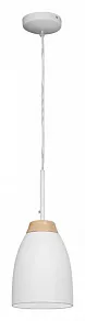 Подвесной светильник Loft it Watchman LOFT4402A-WH