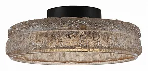 Накладной светильник ST-Luce ANTIKE SL6143.422.01