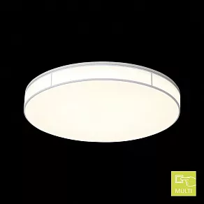Накладной светильник ST-Luce Fella SL417.512.01