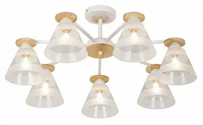 Потолочная люстра Rivoli Theothila Б0068395