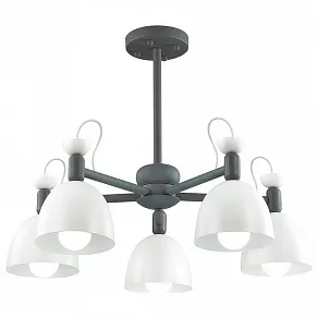 Люстра на штанге Lumion Fiona 3687/5C