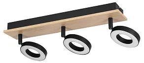 Спот Eglo RIELVES 901204