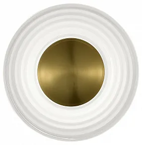 Накладной светильник ST-Luce Moon SL6125.301.01