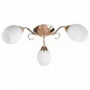 Потолочная люстра TopLight Kristin TL3520X-03FG