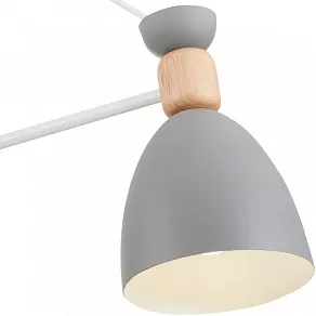 Люстра на штанге Freya Delia FR5033CL-03W