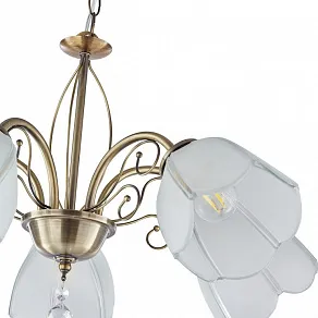 Подвесная люстра Arte Milano Amalfi-2656 332656/5 AB