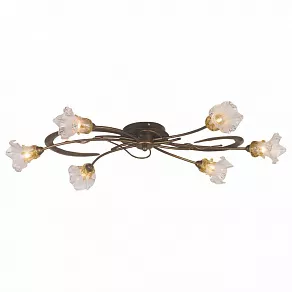 Потолочная люстра Odeon Light Alba 1365/6A