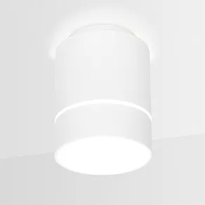 Накладной светильник Ambrella TN TN256