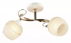 Накладной светильник Hiper Mila H020-2