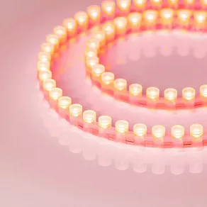 Лента светодиодная Arlight DIP LED 24068