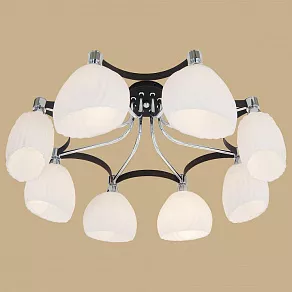 Потолочная люстра Citilux Ирис CL143181