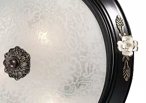 Накладной светильник Odeon Light Bone 2693/3C