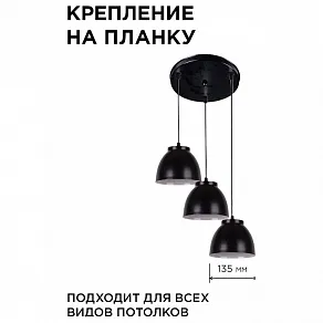 Подвесной светильник Apeyron Electrics  16-65