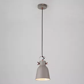 Подвесной светильник Eurosvet Projector 50083/1 серый