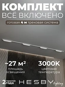Комплект трековый Hesby Lighting №1 однофазная накладная Skylite HSBL_kompl_S001_NI4W3K