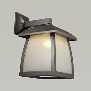 Светильник на штанге Odeon Light Tako 4050/1W