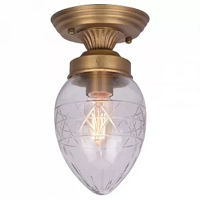 Накладной светильник Arte Lamp  A2304PL-1SG
