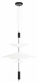 Подвесной светильник Loft it Skylar 10244/C Black