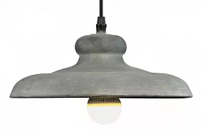 Подвесной светильник Arte Lamp Loft A5025SP-1BG